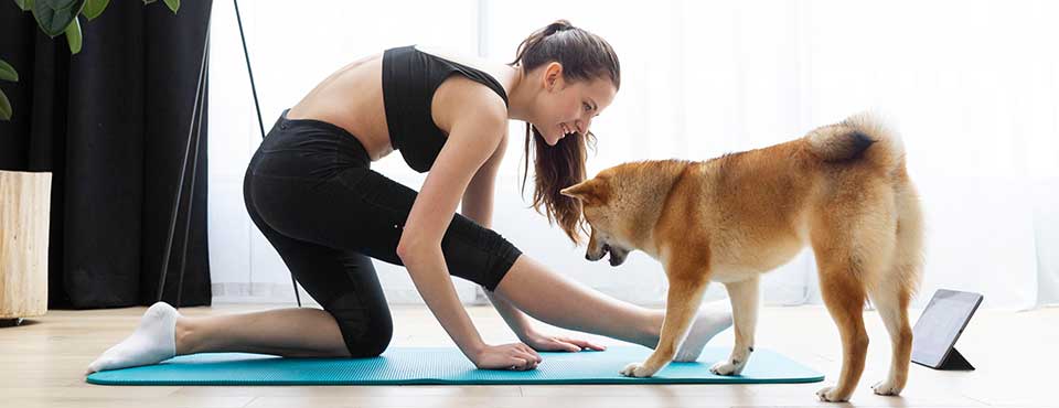 dog yoga