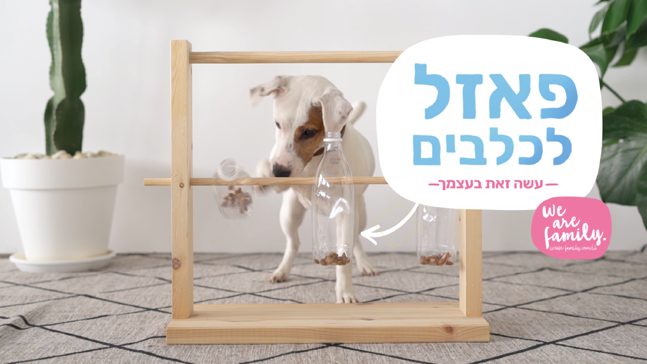 עשה זאת בעצמך – פאזל לכלבים