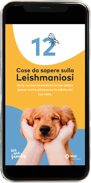 mobile screen with dog as wallpaper